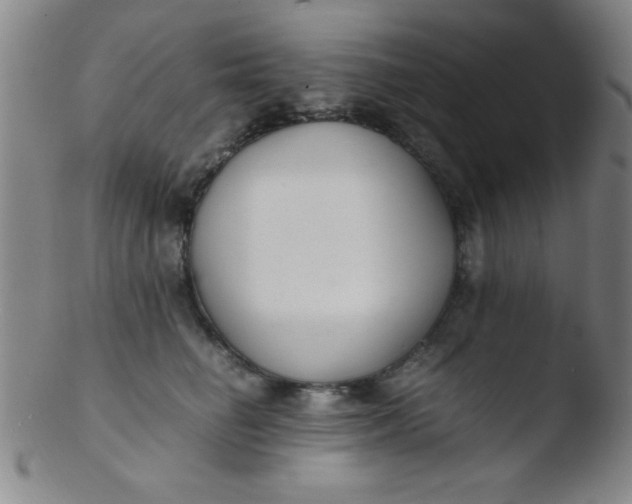 X0000103480662200809261928