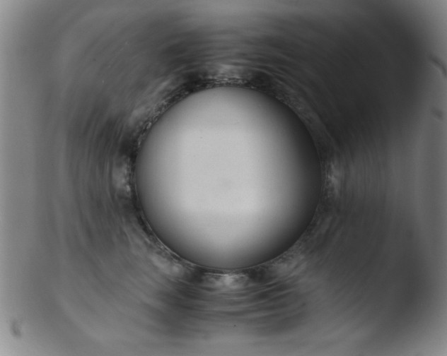 X0000103480663200809261928