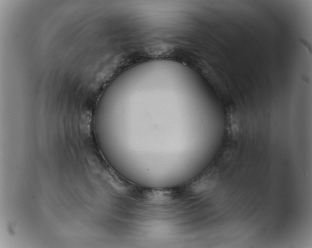 X0000103480664200809261928