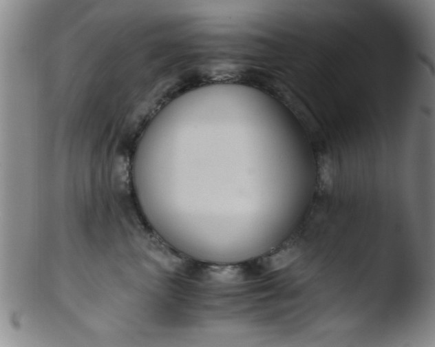 X0000103480667200809261928