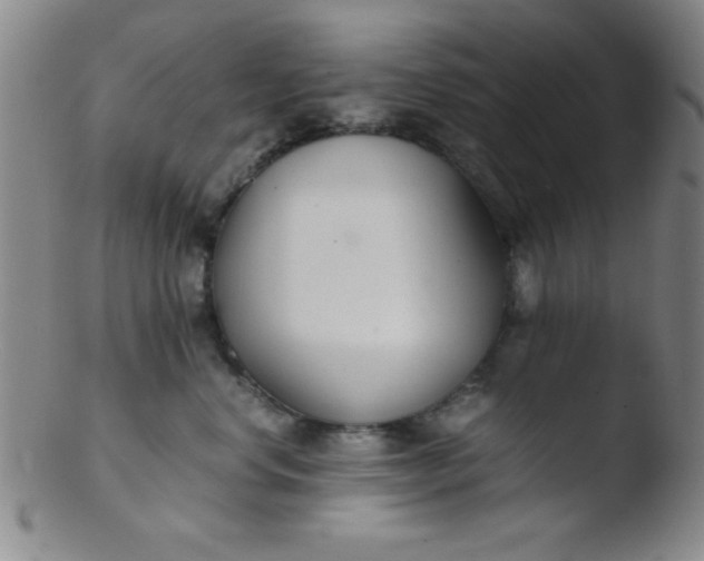 X0000103480668200809261928