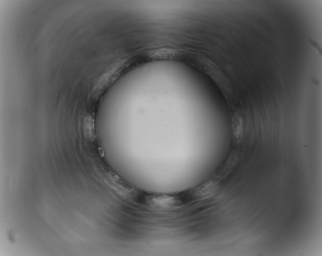 X0000103480669200809261928