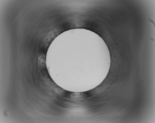 X0000103480672200809261928