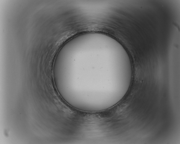 X0000103480673200809261928