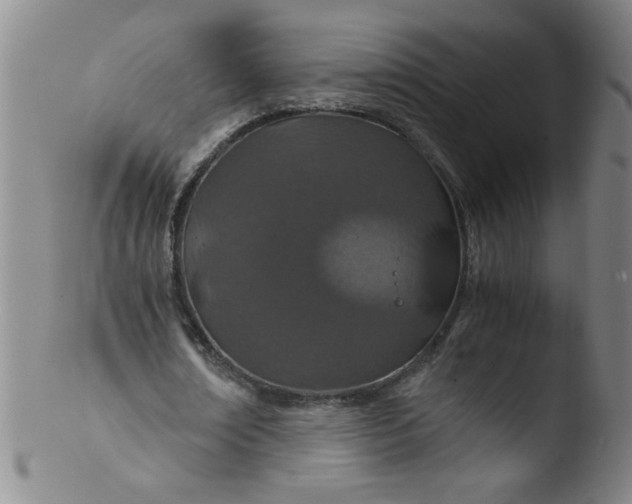 X0000103480674200809261928