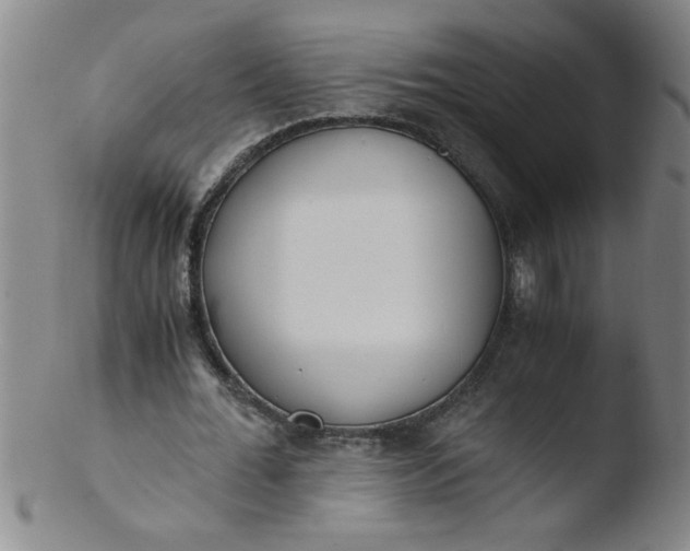 X0000103480676200809261928