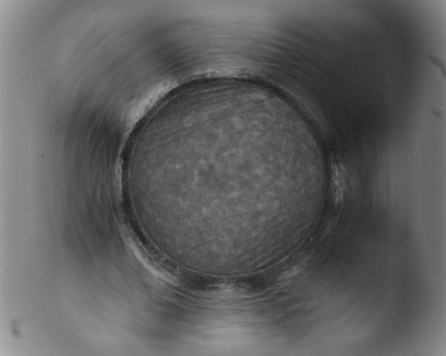 X0000103480678200809261928