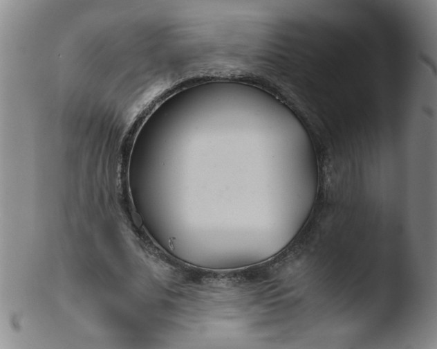 X0000103480679200809261928