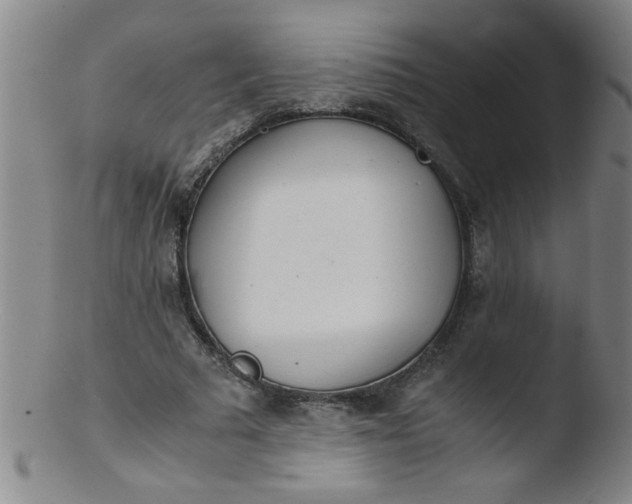 X0000103480681200809261928