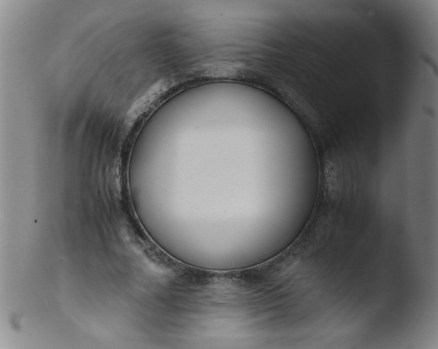 X0000103480682200809261928