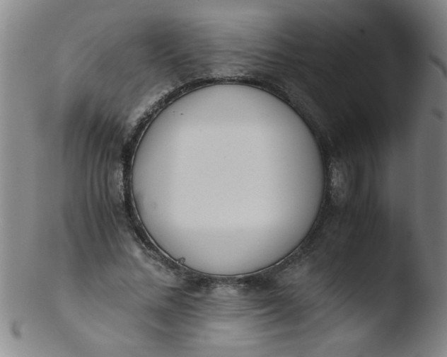 X0000103480684200809261928