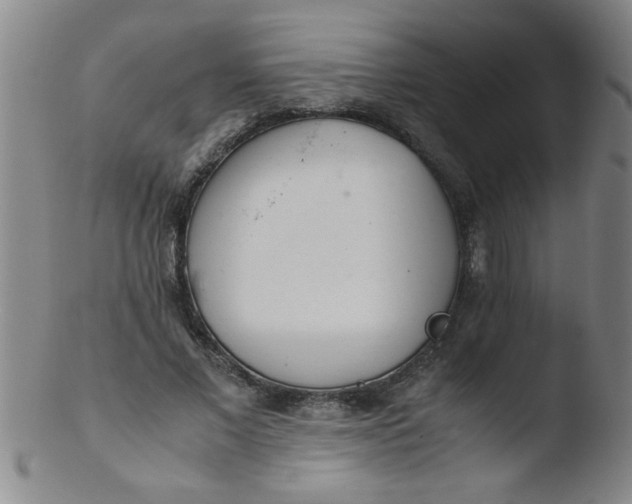 X0000103480685200809261928