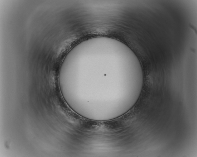 X0000103480688200809261928