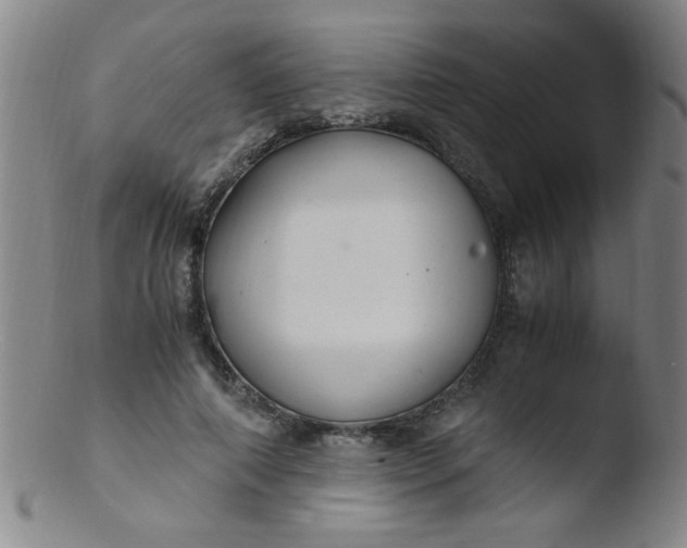 X0000103480690200809261928