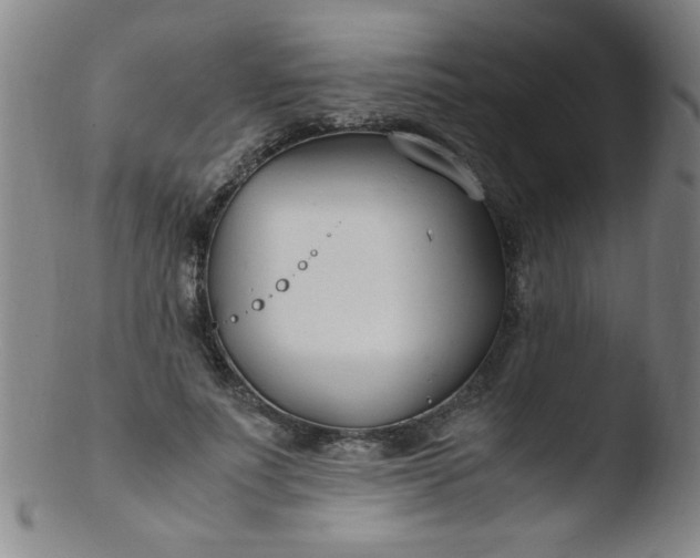 X0000103480691200809261928