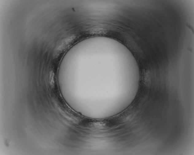 X0000103480692200809261928