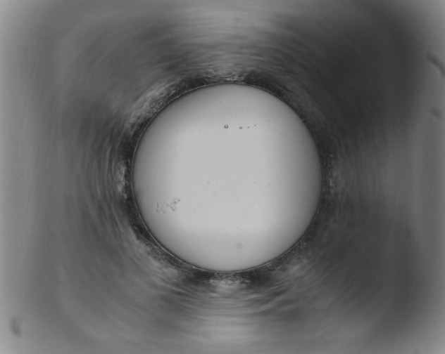 X0000103480693200809261928