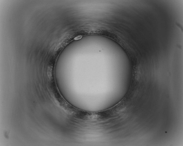 X0000103480695200809261928