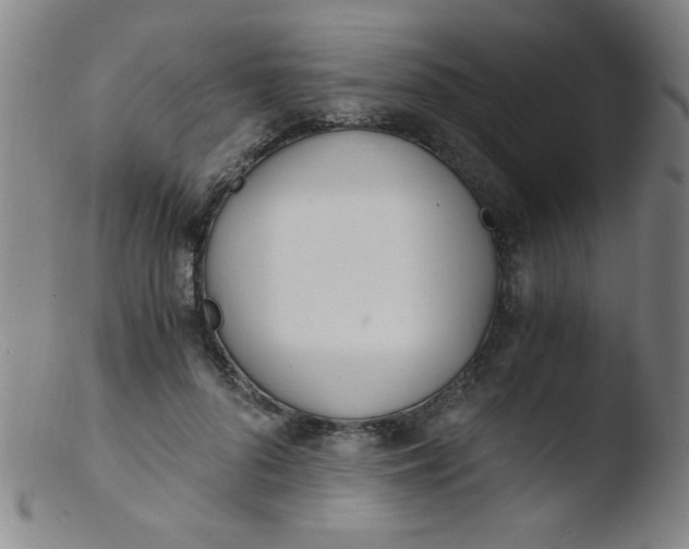 X0000103480696200809261927