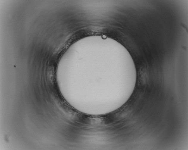 X0000103480698200809261927