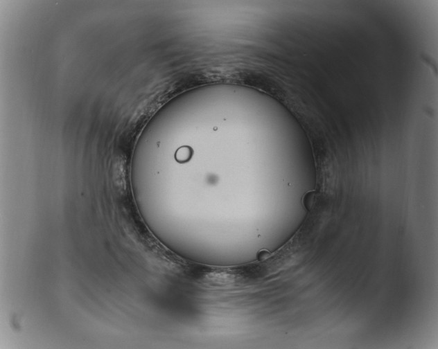 X0000103480699200809261927