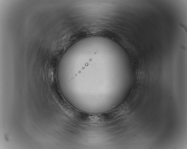 X0000103480703200809261927