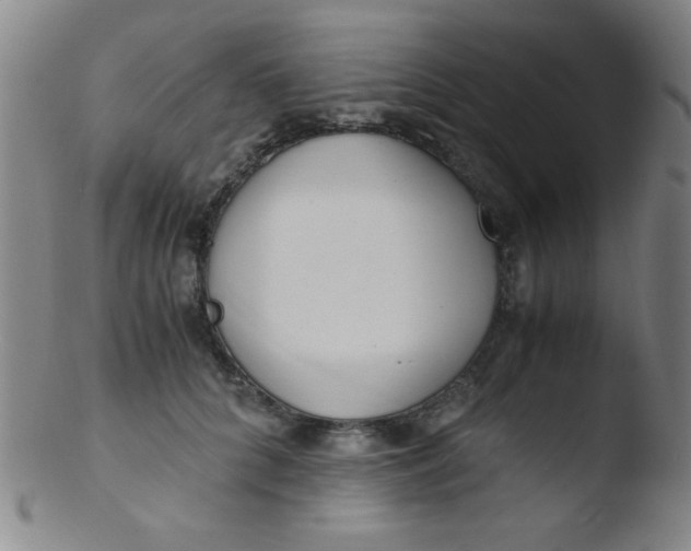 X0000103480704200809261927