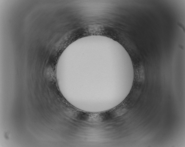 X0000103480705200809261927