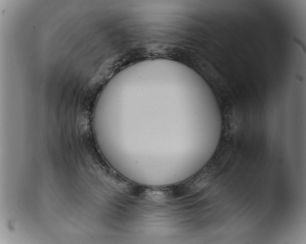 X0000103480706200809261927