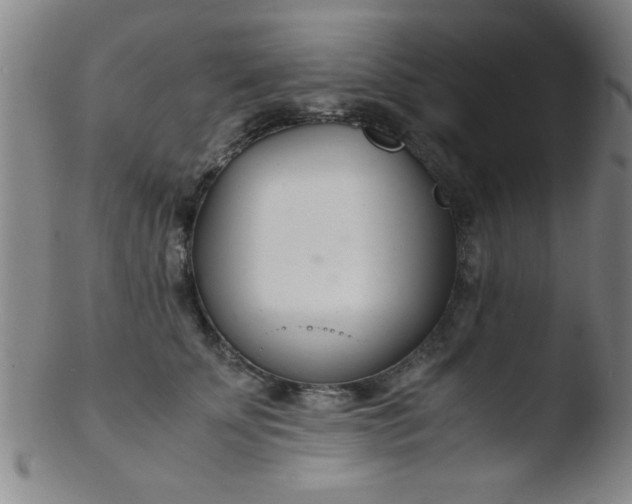 X0000103480707200809261927