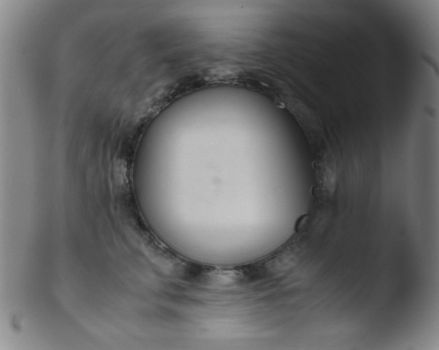 X0000103480711200809261927