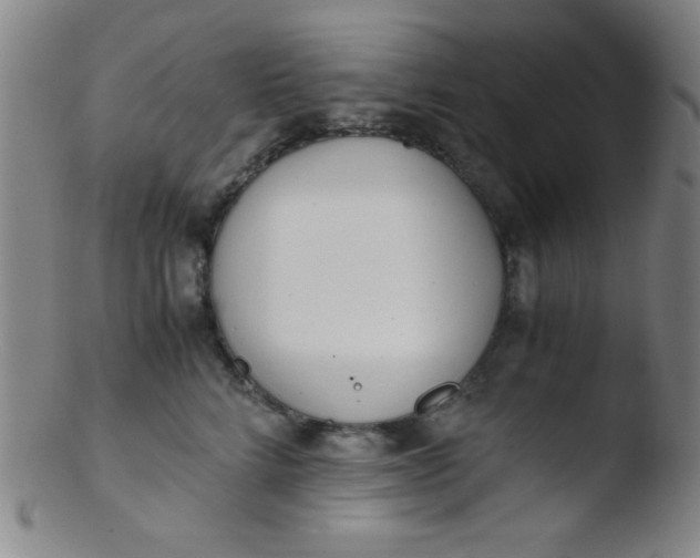 X0000103480712200809261927