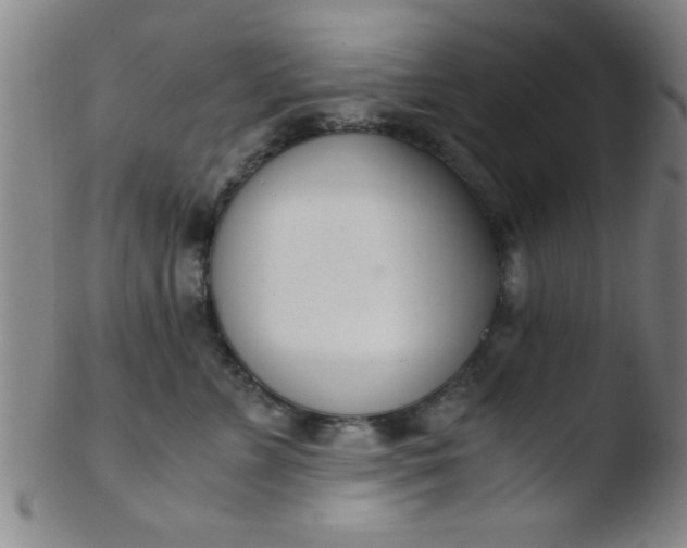 X0000103480715200809261927