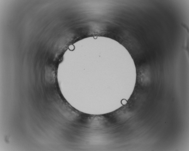 X0000103480716200809261927