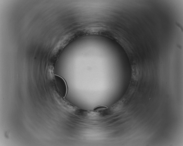 X0000103480718200809261927