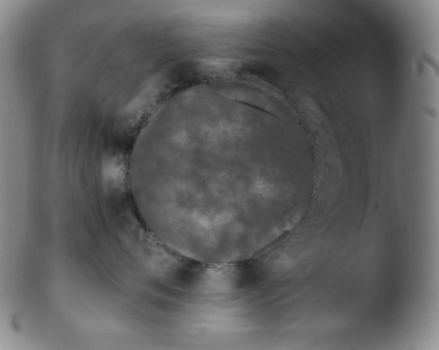 X0000103480720200809261927