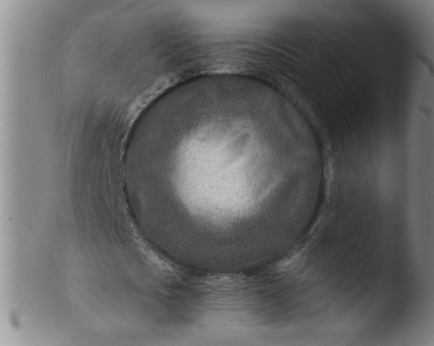 X0000103480721200809261927