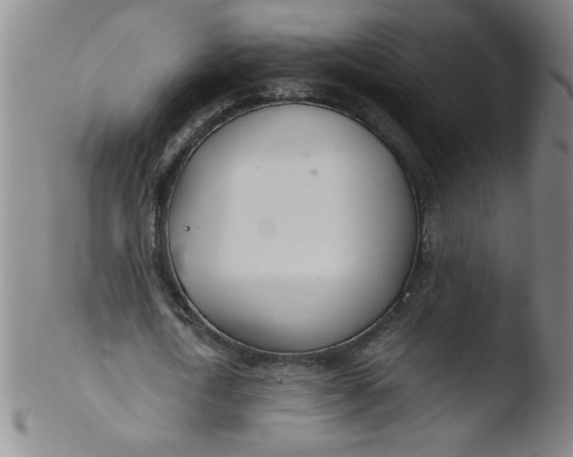 X0000103480722200809261927