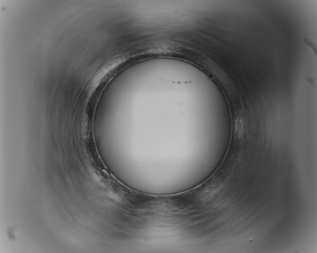 X0000103480724200809261927