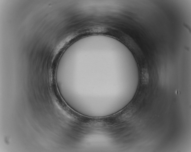 X0000103480726200809261927