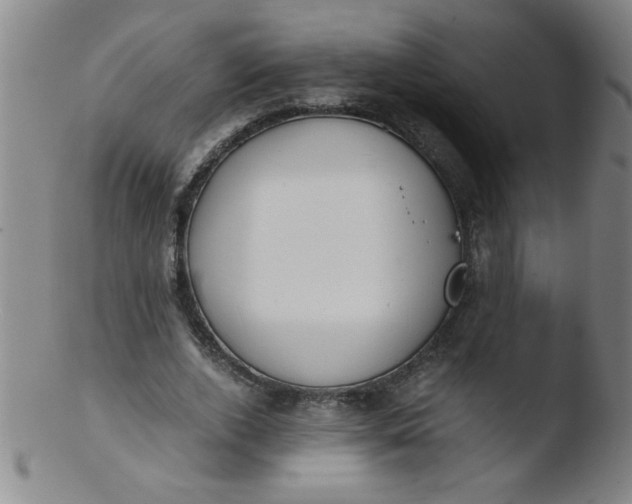 X0000103480728200809261927