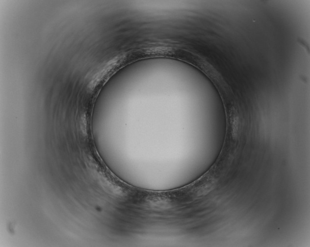 X0000103480729200809261927