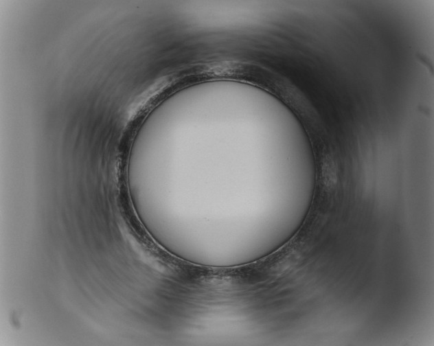 X0000103480730200809261927