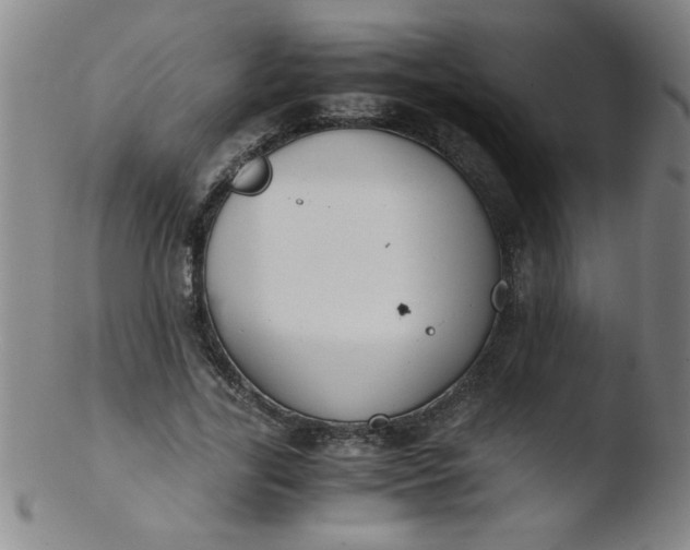 X0000103480731200809261927