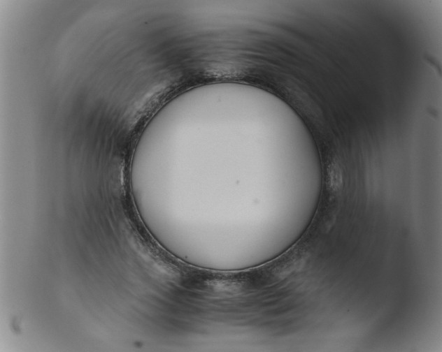 X0000103480733200809261927