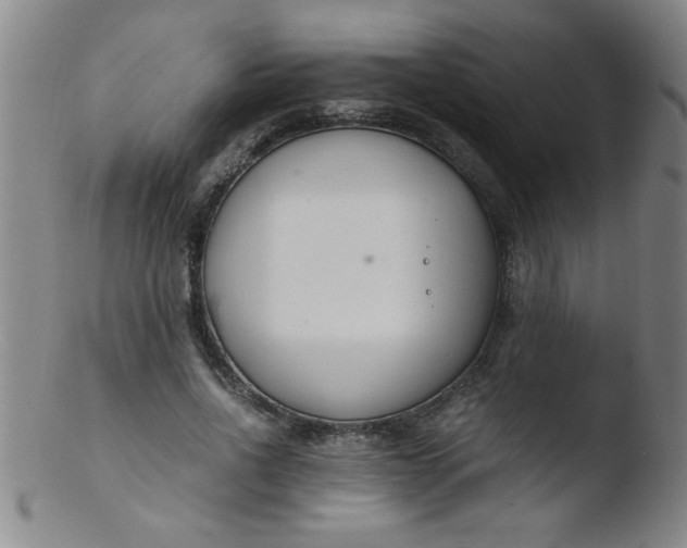 X0000103480734200809261927