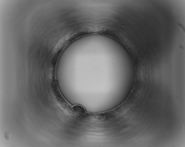 X0000103480736200809261927