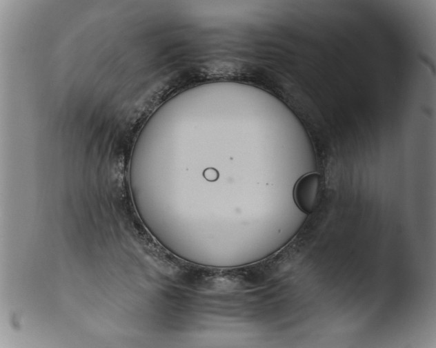 X0000103480737200809261927