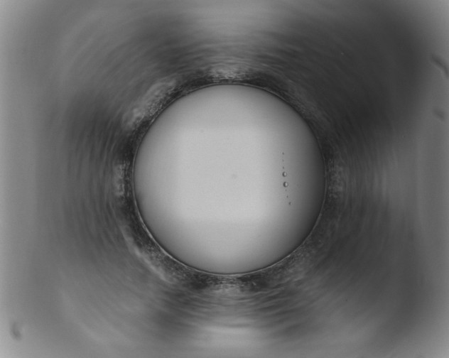 X0000103480738200809261927