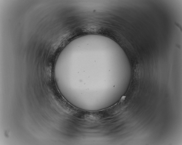 X0000103480739200809261927